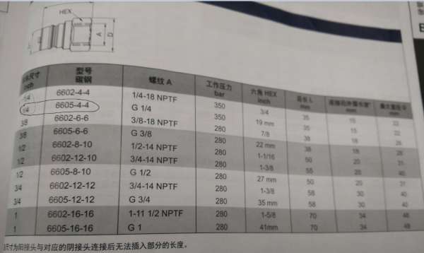 阳接头