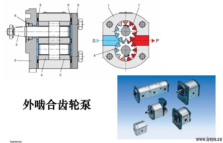 齿轮泵.JPG