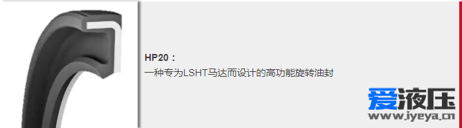 特瑞堡密封系统专利设计的HP20旋转油封