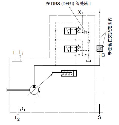 Rexroth  DRF Pump.JPG