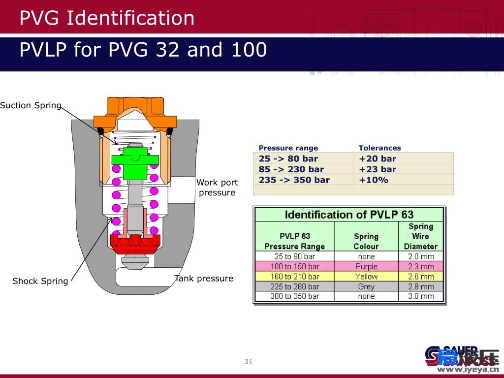 pvg-identification-pvlp-for-pvg-32-and-100-l.jpg